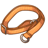 Designer Orange Collar